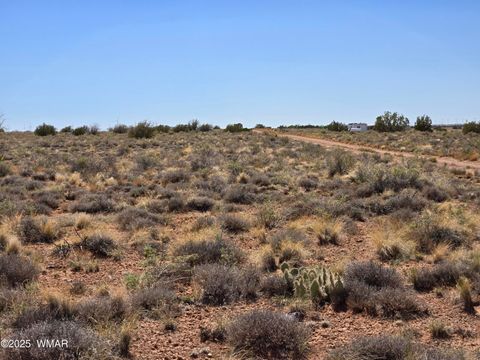 Tiny photo for 7761 & 7809 Miller Trail, Snowflake, AZ 85937 (MLS # 256554)