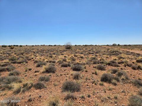 Tiny photo for 7761 & 7809 Miller Trail, Snowflake, AZ 85937 (MLS # 256554)