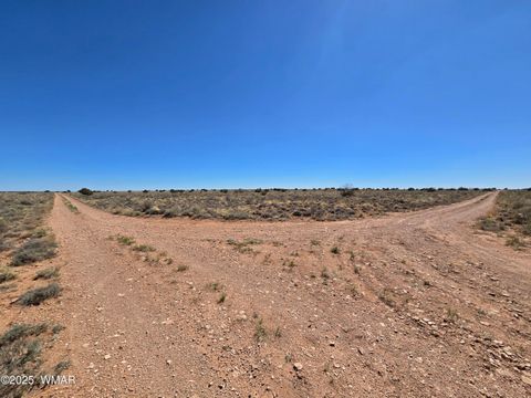 Tiny photo for 7761 & 7809 Miller Trail, Snowflake, AZ 85937 (MLS # 256554)