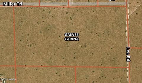 Tiny photo for 7761 & 7809 Miller Trail, Snowflake, AZ 85937 (MLS # 256554)