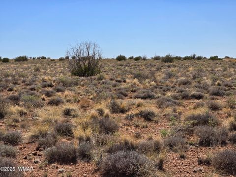 Tiny photo for 7761 & 7809 Miller Trail, Snowflake, AZ 85937 (MLS # 256554)