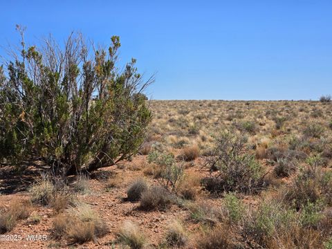 Photo of 7761 & 7809 Miller Trail, Snowflake, AZ 85937 (MLS # 256554)
