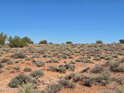 Tiny photo for 7761 & 7809 Miller Trail, Snowflake, AZ 85937 (MLS # 256554)