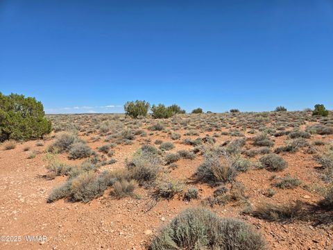 Tiny photo for 7761 & 7809 Miller Trail, Snowflake, AZ 85937 (MLS # 256554)