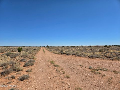 Tiny photo for 7761 & 7809 Miller Trail, Snowflake, AZ 85937 (MLS # 256554)