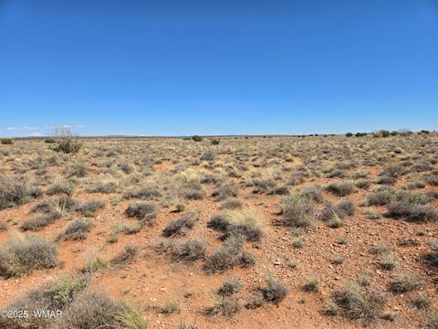 Tiny photo for 7761 & 7809 Miller Trail, Snowflake, AZ 85937 (MLS # 256554)