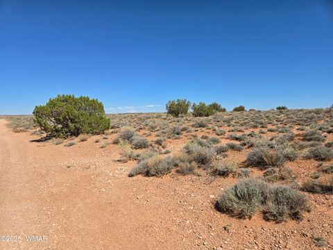 Tiny photo for 7761 & 7809 Miller Trail, Snowflake, AZ 85937 (MLS # 256554)