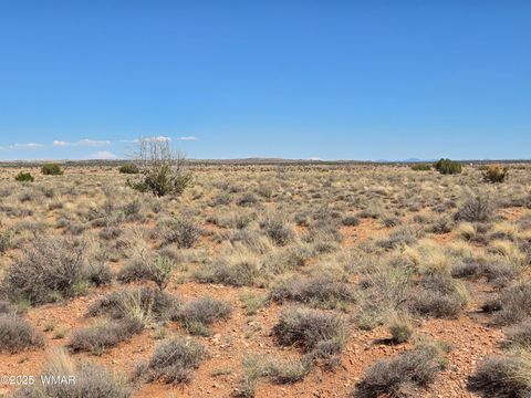 Tiny photo for 7761 & 7809 Miller Trail, Snowflake, AZ 85937 (MLS # 256554)