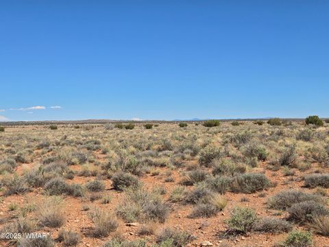 Tiny photo for 7761 & 7809 Miller Trail, Snowflake, AZ 85937 (MLS # 256554)