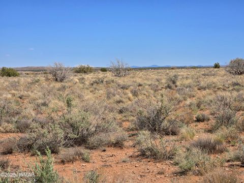 Tiny photo for 7761 & 7809 Miller Trail, Snowflake, AZ 85937 (MLS # 256554)