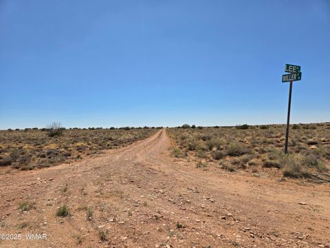 Tiny photo for 7761 & 7809 Miller Trail, Snowflake, AZ 85937 (MLS # 256554)