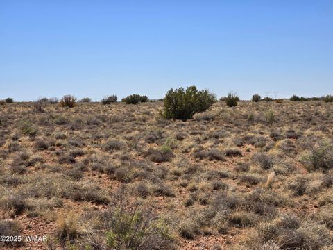 Tiny photo for 7761 & 7809 Miller Trail, Snowflake, AZ 85937 (MLS # 256554)