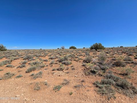 Tiny photo for 7761 & 7809 Miller Trail, Snowflake, AZ 85937 (MLS # 256554)