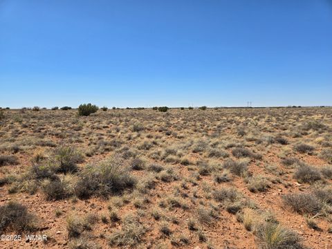 Tiny photo for 7761 & 7809 Miller Trail, Snowflake, AZ 85937 (MLS # 256554)