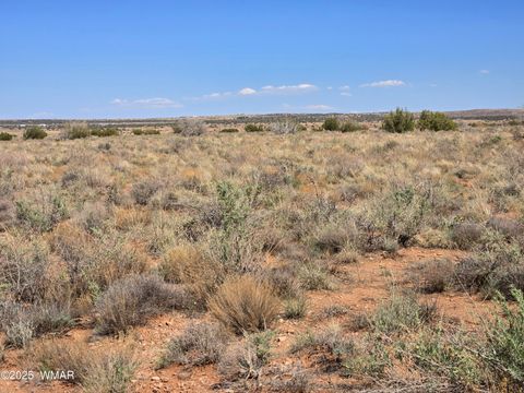 Tiny photo for 7761 & 7809 Miller Trail, Snowflake, AZ 85937 (MLS # 256554)