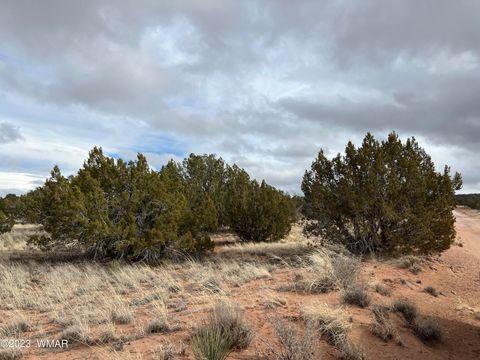 Tiny photo for 4053 S Pinto Road, Snowflake, AZ 85937 (MLS # 258722)