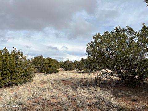 Tiny photo for 4053 S Pinto Road, Snowflake, AZ 85937 (MLS # 258722)