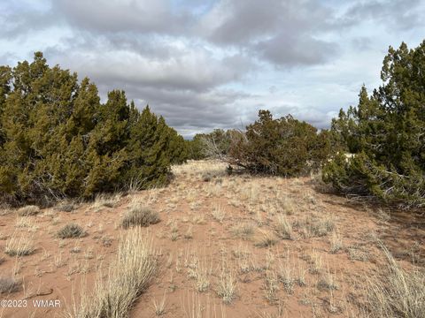 Tiny photo for 4053 S Pinto Road, Snowflake, AZ 85937 (MLS # 258722)