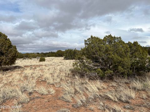 Tiny photo for 4053 S Pinto Road, Snowflake, AZ 85937 (MLS # 258722)
