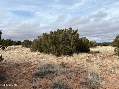 Tiny photo for 4053 S Pinto Road, Snowflake, AZ 85937 (MLS # 258722)