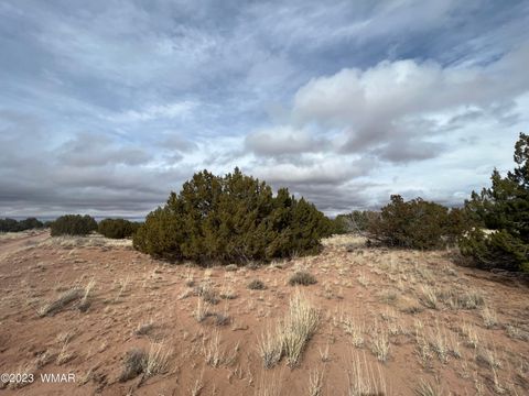 Tiny photo for 4053 S Pinto Road, Snowflake, AZ 85937 (MLS # 258722)