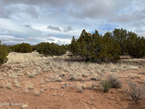 Tiny photo for 4053 S Pinto Road, Snowflake, AZ 85937 (MLS # 258722)