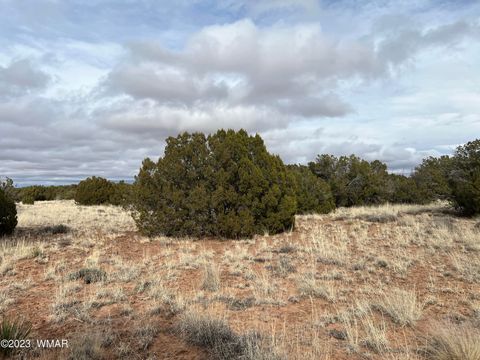 Tiny photo for 4053 S Pinto Road, Snowflake, AZ 85937 (MLS # 258722)