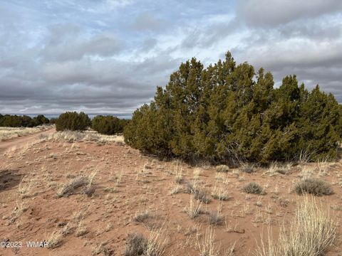 Tiny photo for 4053 S Pinto Road, Snowflake, AZ 85937 (MLS # 258722)