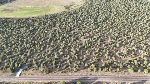 Tiny photo for 35555 US-60, Vernon, AZ 85940 (MLS # 259314)