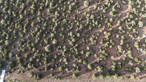 Tiny photo for 35555 US-60, Vernon, AZ 85940 (MLS # 259314)