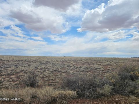 Tiny photo for 7828 Sandhill Road, Holbrook, AZ 86025 (MLS # 241911)