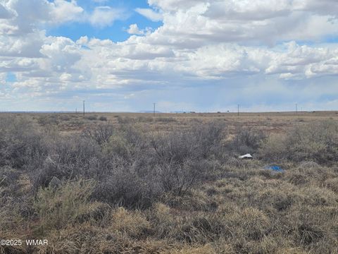 Tiny photo for 7828 Sandhill Road, Holbrook, AZ 86025 (MLS # 241911)