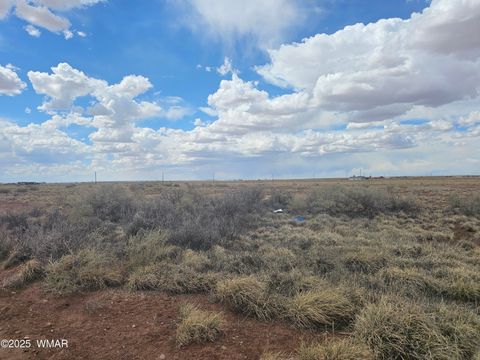 Tiny photo for 7828 Sandhill Road, Holbrook, AZ 86025 (MLS # 241911)