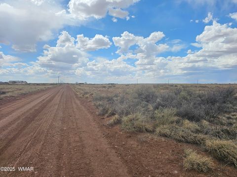 Tiny photo for 7828 Sandhill Road, Holbrook, AZ 86025 (MLS # 241911)