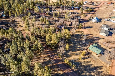Tiny photo for 5528 Deer Run, Pinedale, AZ 85934 (MLS # 256931)