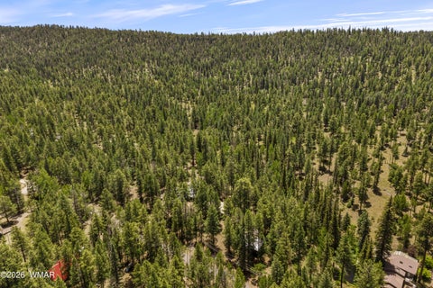Tiny photo for 12 CR 2044, Alpine, AZ 85920 (MLS # 261876)