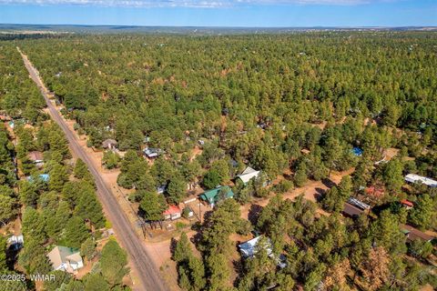 Tiny photo for 2882 Verde Road, Overgaard, AZ 85933 (MLS # 257447)