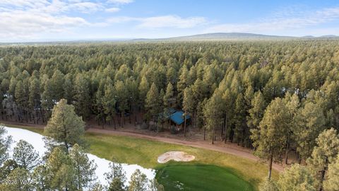 Tiny photo for 7319 Indian Bend Road, Pinetop, AZ 85935 (MLS # 259274)