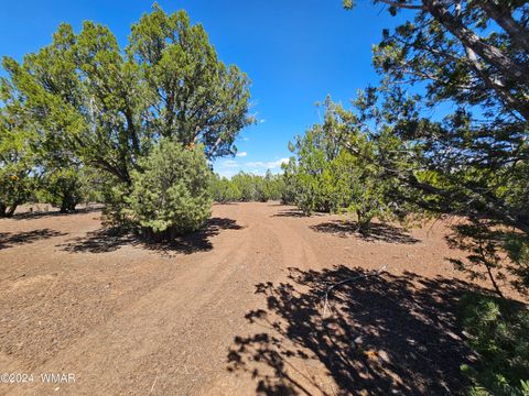 Tiny photo for 1259 Kb Ranch Road, Show Low, AZ 85901 (MLS # 257453)