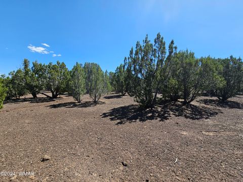 Tiny photo for 1259 Kb Ranch Road, Show Low, AZ 85901 (MLS # 257453)
