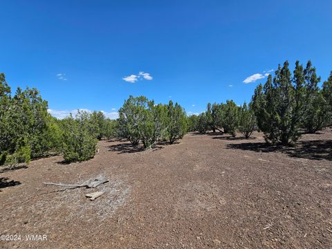 Tiny photo for 1259 Kb Ranch Road, Show Low, AZ 85901 (MLS # 257453)