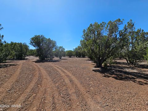 Tiny photo for 1259 Kb Ranch Road, Show Low, AZ 85901 (MLS # 257453)