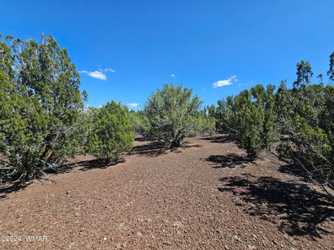 Tiny photo for 1259 Kb Ranch Road, Show Low, AZ 85901 (MLS # 257453)