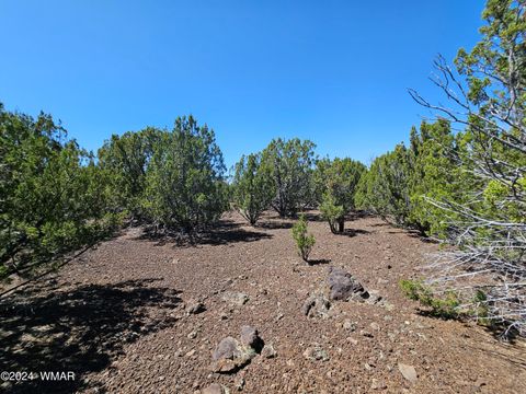 Tiny photo for 1259 Kb Ranch Road, Show Low, AZ 85901 (MLS # 257453)