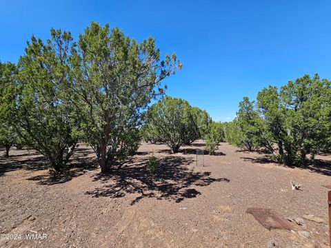 Tiny photo for 1259 Kb Ranch Road, Show Low, AZ 85901 (MLS # 257453)