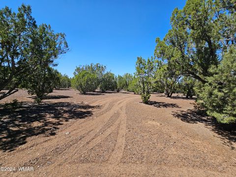 Tiny photo for 1259 Kb Ranch Road, Show Low, AZ 85901 (MLS # 257453)