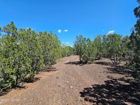 Photo of 1259 Kb Ranch Road, Show Low, AZ 85901 (MLS # 257453)