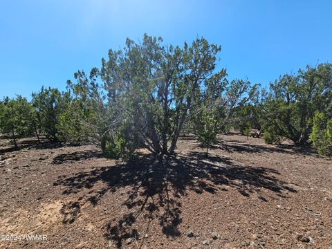 Tiny photo for 1259 Kb Ranch Road, Show Low, AZ 85901 (MLS # 257453)