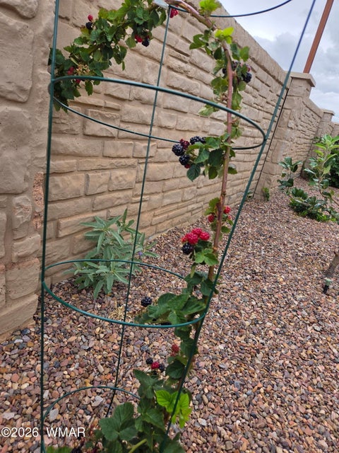 Tiny photo for 1020 N Crown Circle, Taylor, AZ 85939 (MLS # 258411)