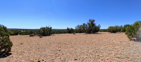 Tiny photo for 9142 Texas Lane, Show Low, AZ 85901 (MLS # 256555)